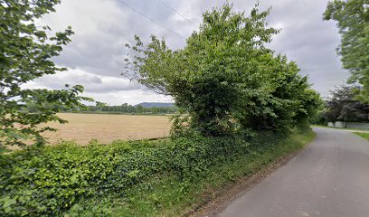 Vinnie & Joe’s Garden Centre Fermoy Vinnie & Joe’s Garden Centre Fermoy